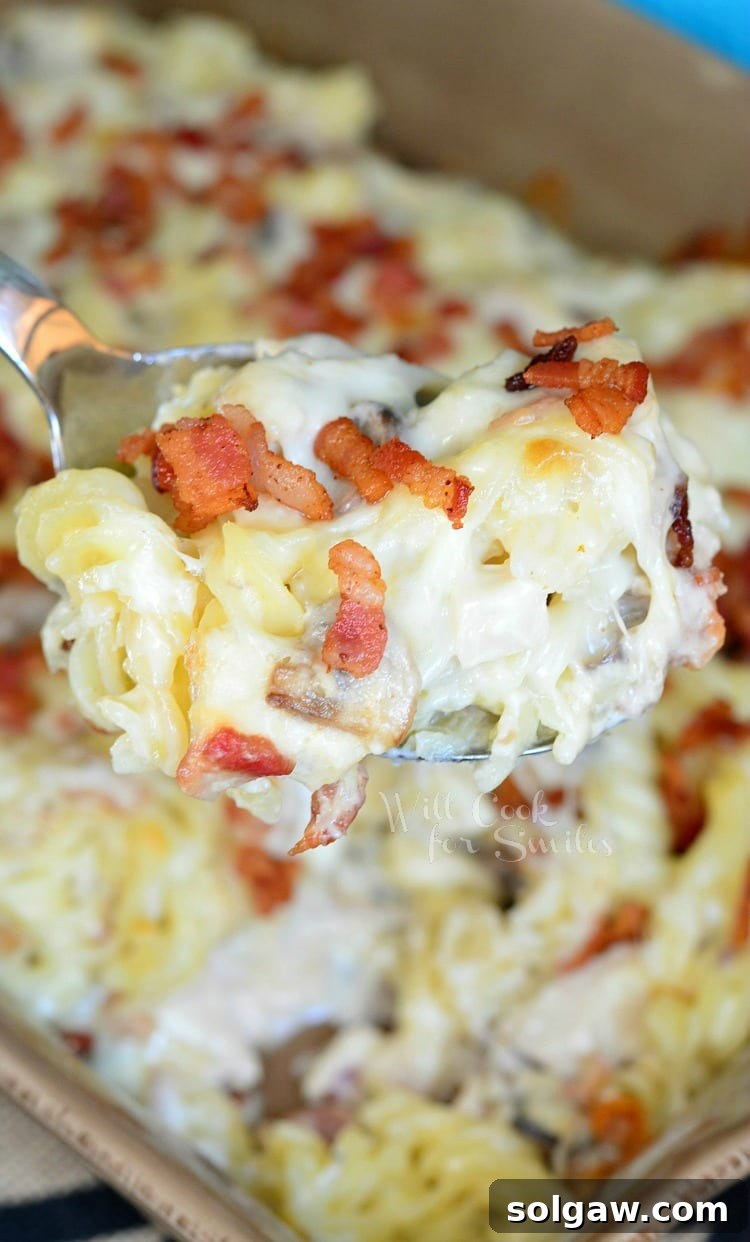 Scooped chicken alfredo pasta casserole with a spoon.