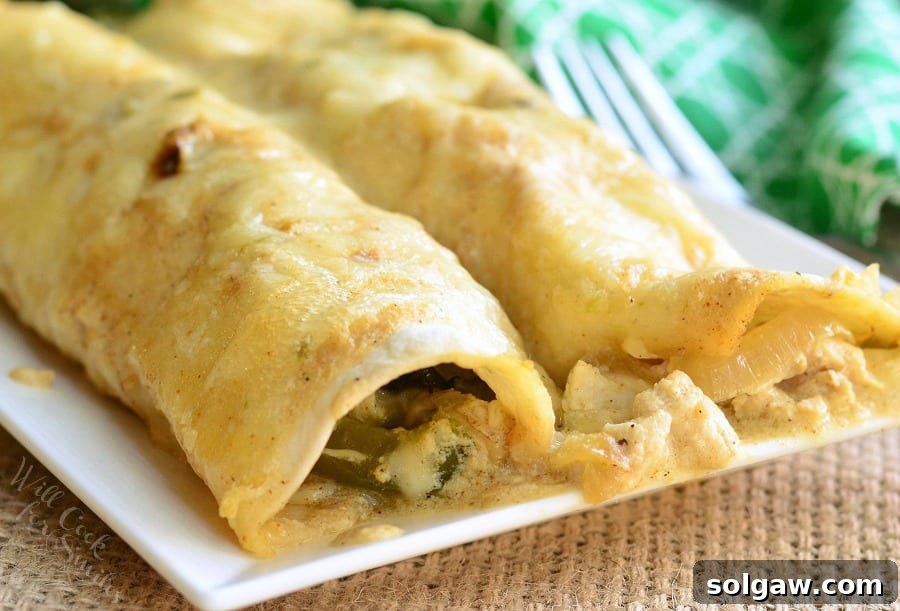 Smoky Poblano Chicken Enchiladas 4 A serving of Roasted Poblano and Chicken Enchiladas on a white plate, showcasing the creamy sauce.