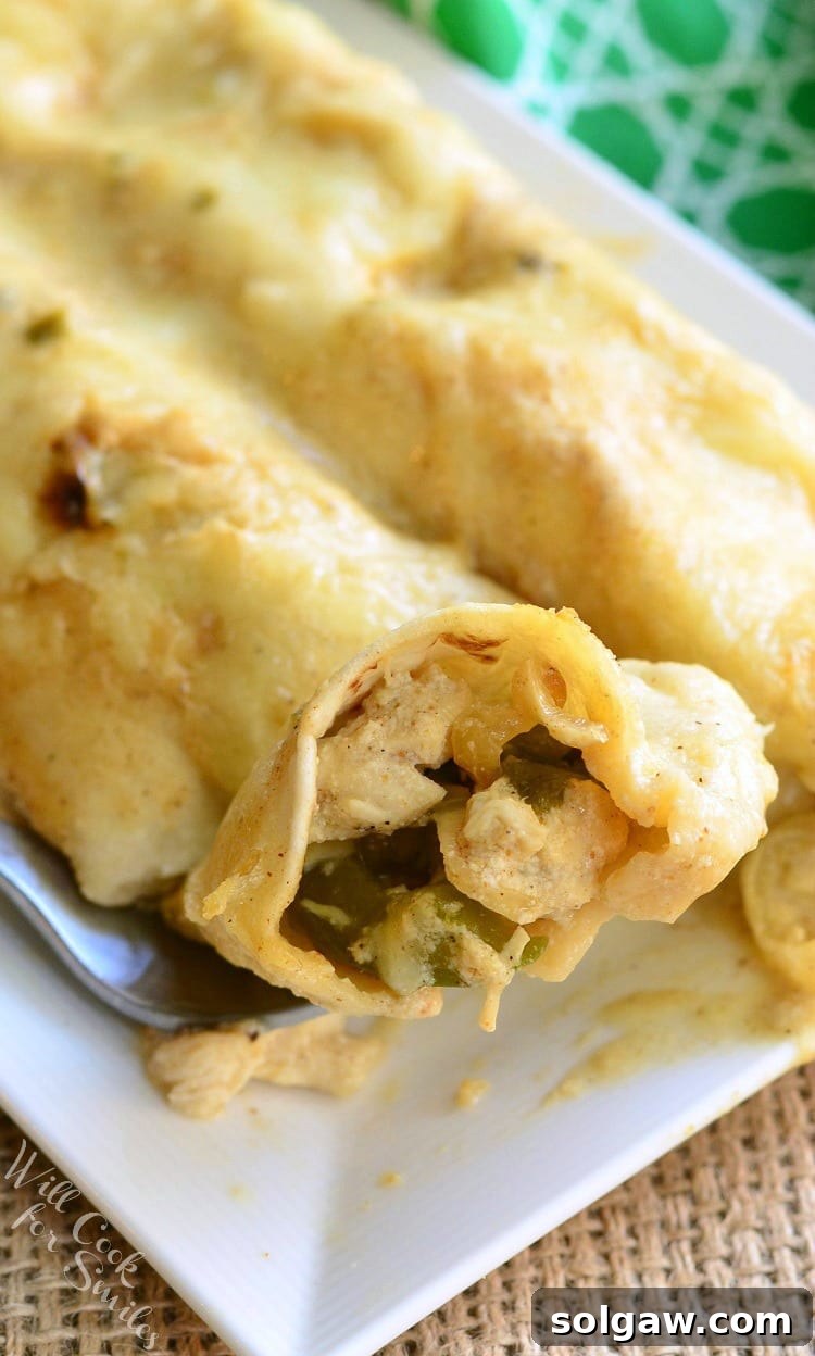 Smoky Poblano Chicken Enchiladas 6 Roasted Poblano and Chicken Enchiladas on a plate with some of the enchiladas in a spoon, showcasing the rich filling and sauce.