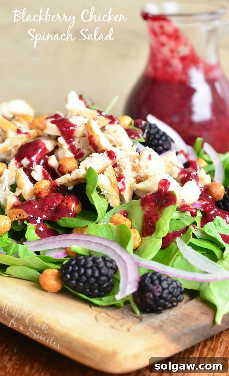 Blackberry Poppy Seed Chicken Spinach Salad 2 Vibrant Blackberry Chicken Spinach Salad with Blackberry Poppy Seed Vinaigrette, fresh blackberries, chickpeas, and red onions.