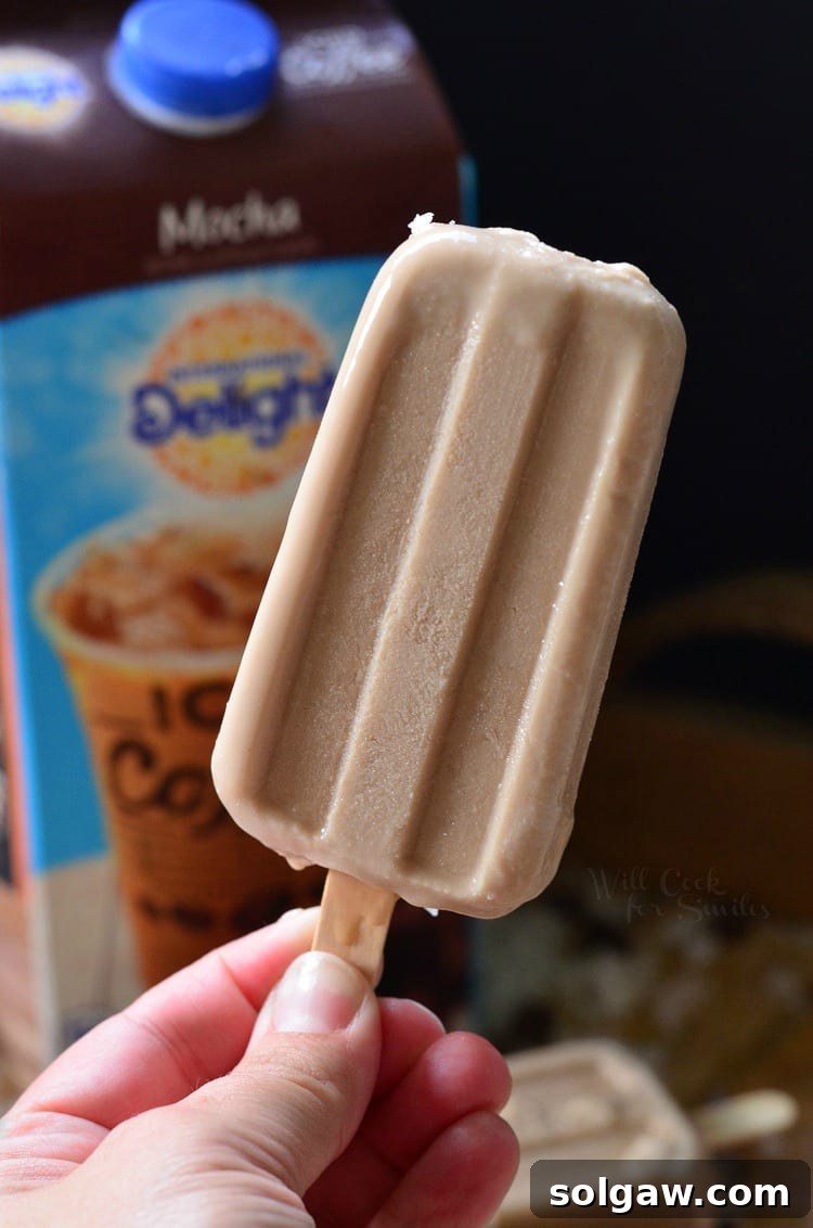 holding a Coconut Mocha Ice Pops with a carton of International Delight Iced Coffee in the background 