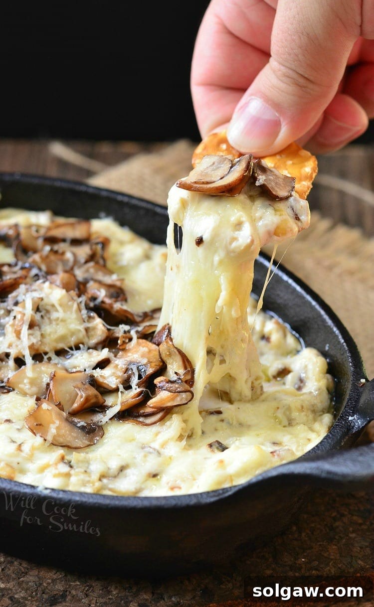 Warm Mushroom Leek Gruyere Cheese Dip 2 Dipping a pretzel into Mushroom Leek and Gruyere Cheese Dip with mushrooms on top in a cast iron pan