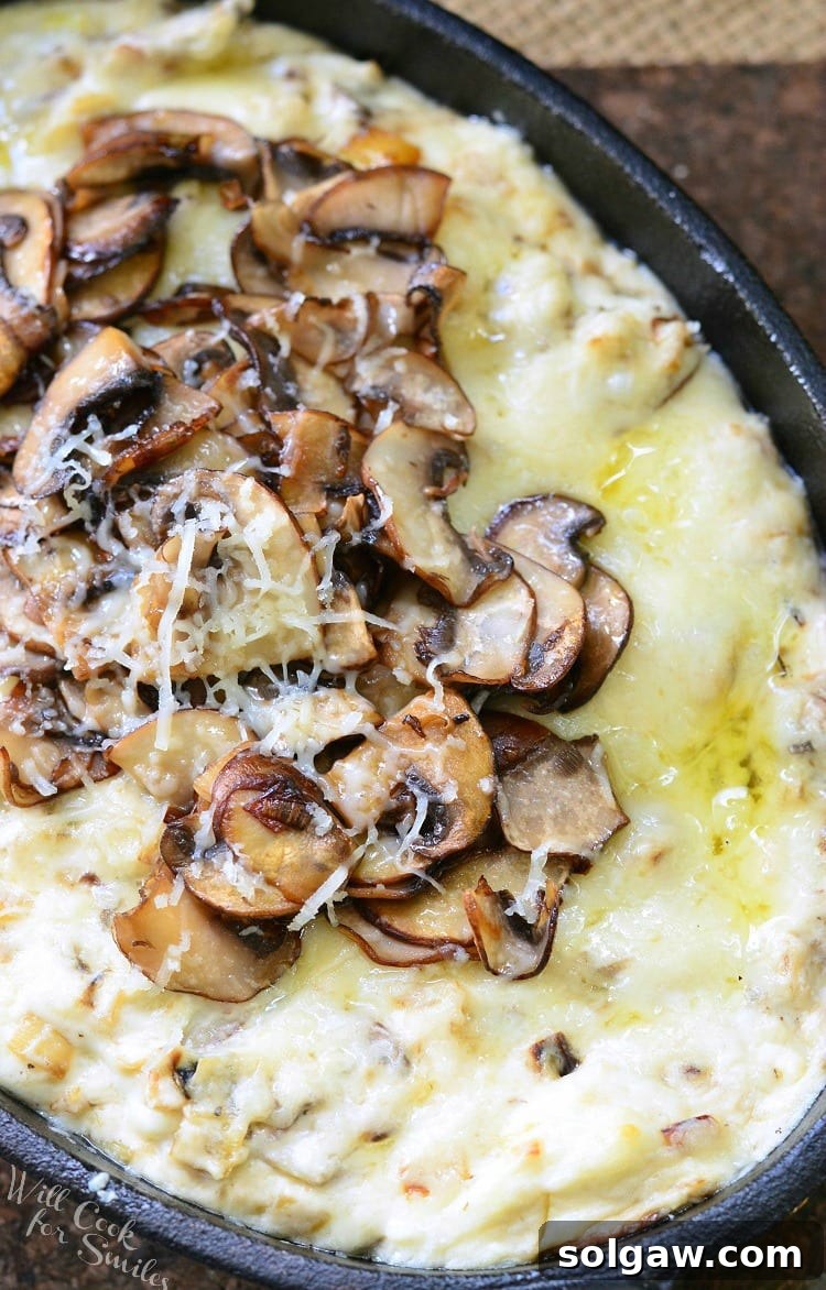 Warm Mushroom Leek Gruyere Cheese Dip 5 img 12789 4