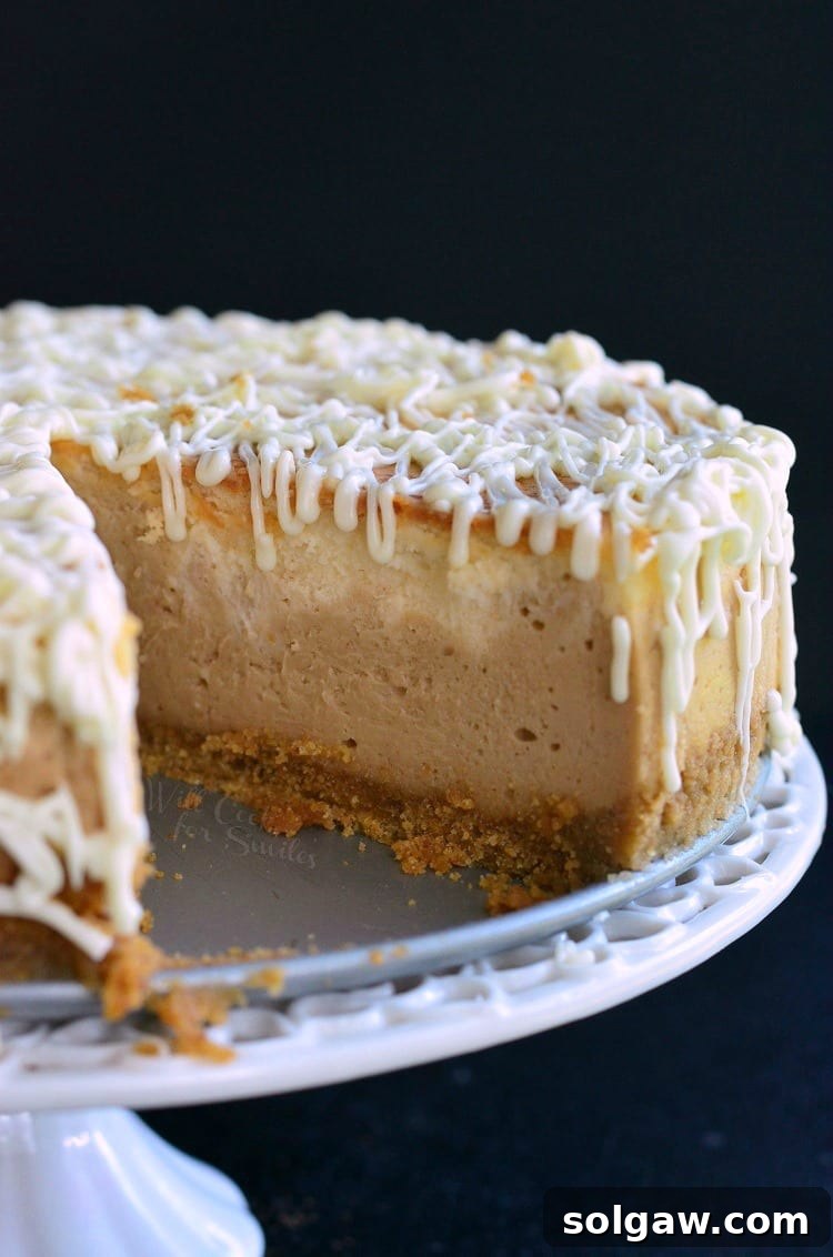 Spiderweb Swirl White Chocolate Peanut Butter Cheesecake 3 White Chocolate Peanut Butter Cheesecake with slice missing on a cake stand