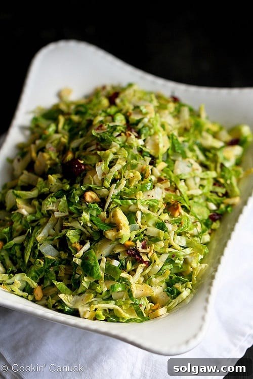 Harvesting Health: 50 Gluten-Free Thanksgiving Delights 32 Shredded Brussels Sprouts Salad with Pistachios Parmesan and Cranberries