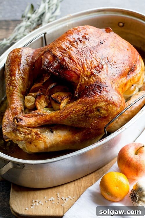 Harvesting Health: 50 Gluten-Free Thanksgiving Delights 5 How To Dry Brine Thanksgiving Turkey