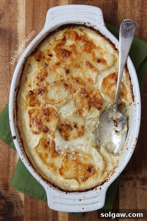 Harvesting Health: 50 Gluten-Free Thanksgiving Delights 7 Four Cheese Garlic Scalloped Potatoes
