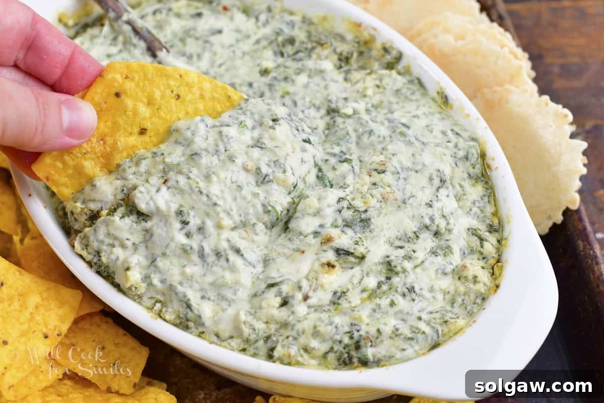 A tortilla chip scooping a generous portion of warm, creamy spinach dip, showing its rich texture.