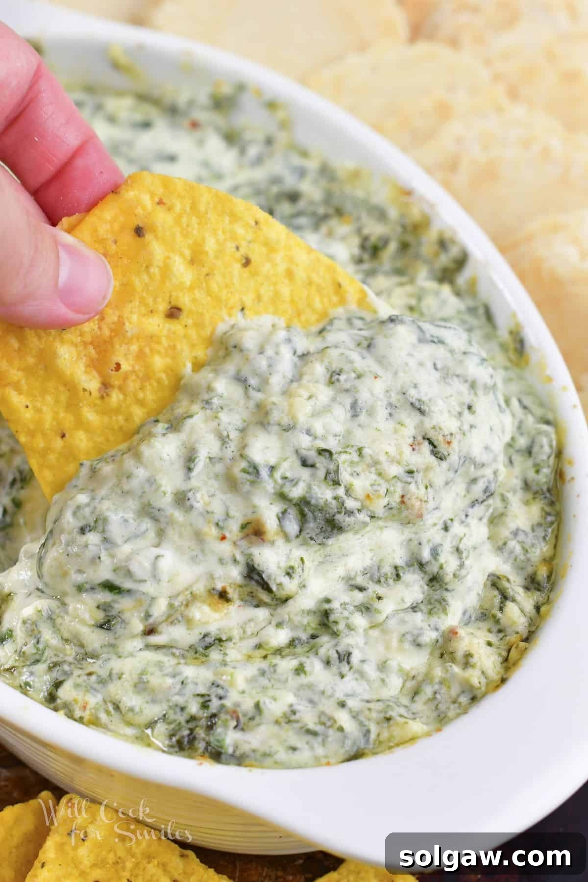 closeup of scooping spinach dip with a chip.