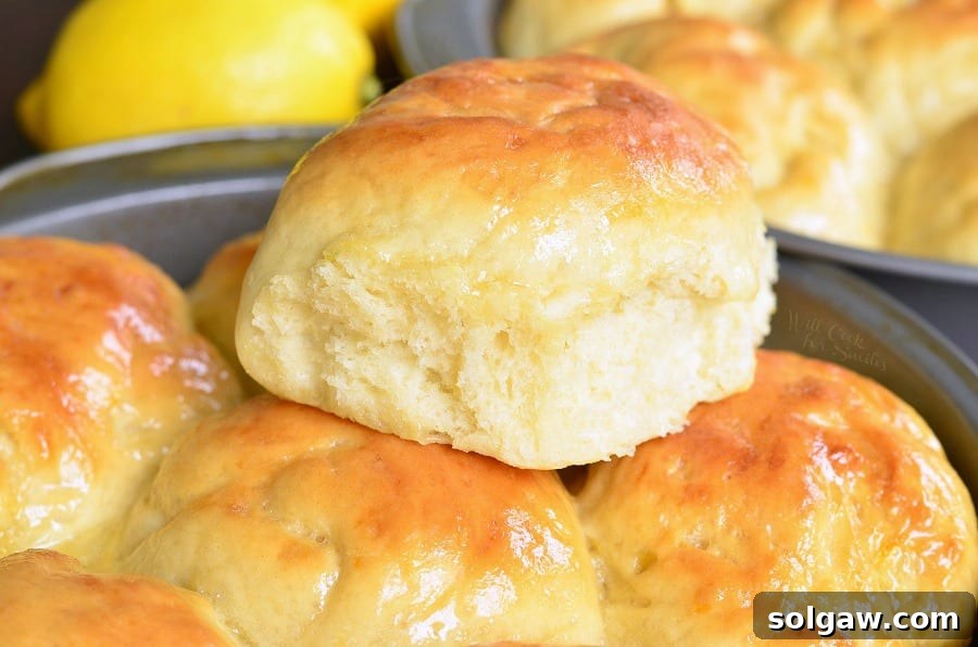 Honey Lemon Dinner Rolls baked in a round pan, creating a flower-like arrangement