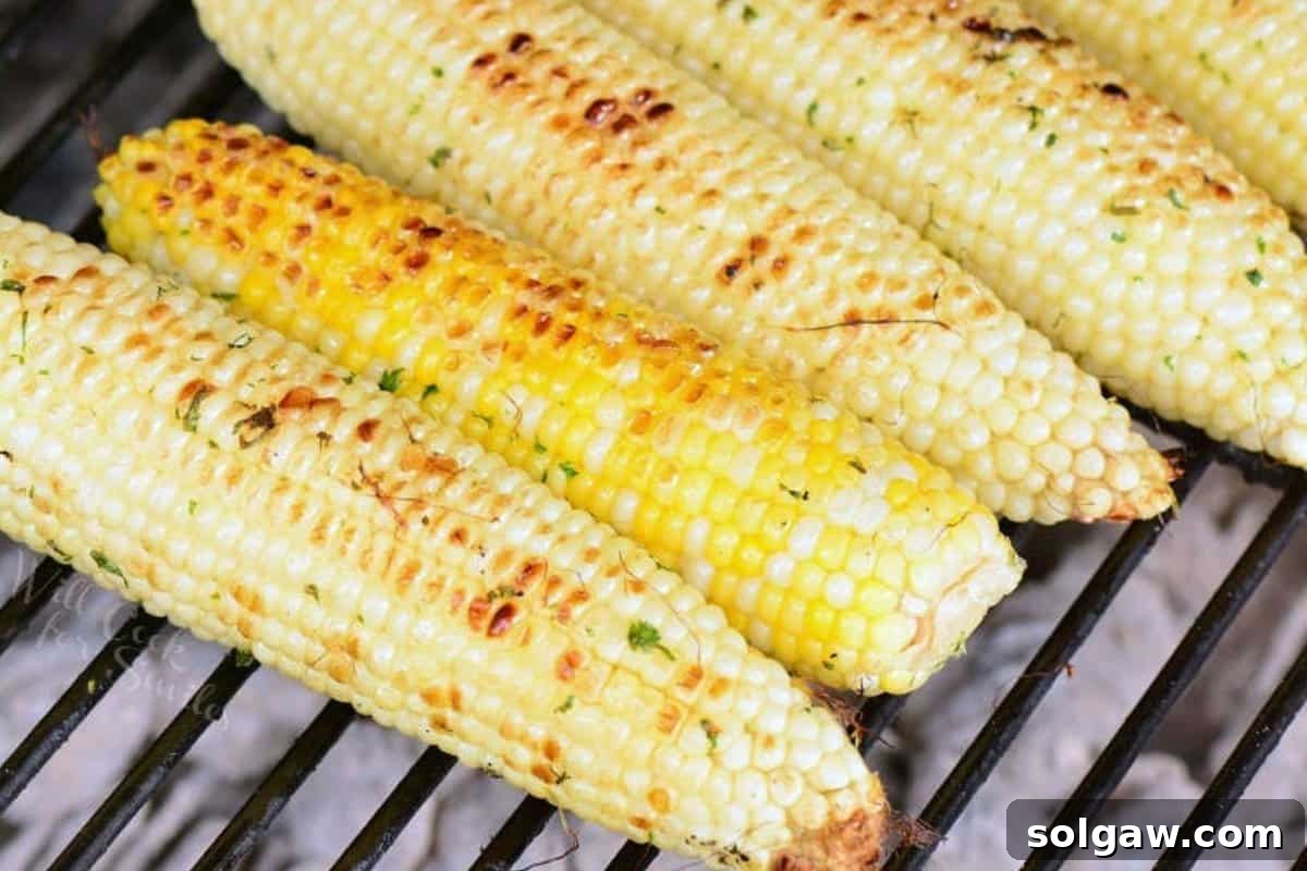 several corn on the cob on the grill.