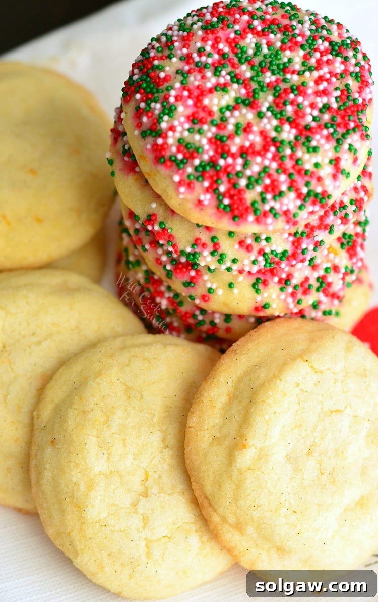 Zesty Orange & Vanilla Bean Sugar Cookies 11 A single sugar cookie with vanilla bean and orange zest, perfectly baked and ready to eat