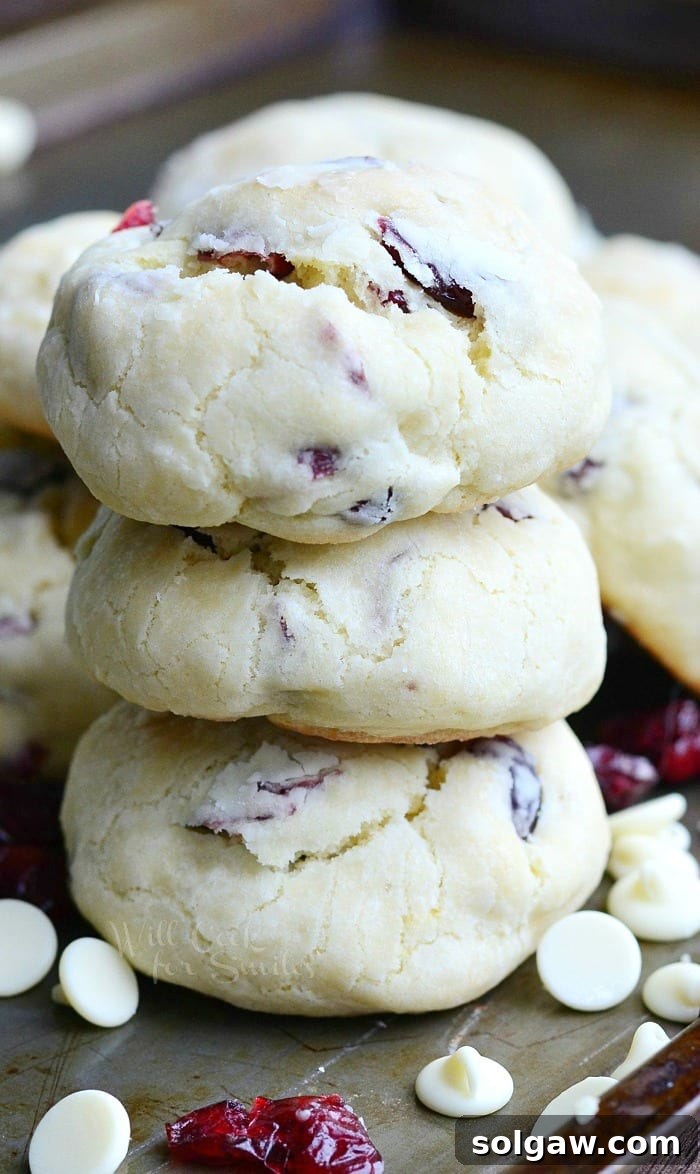 Zesty Orange & Vanilla Bean Sugar Cookies 14 White Chocolate Cranberry Soft and Chewy Crinkle Cookies on a baking sheet with scattered ingredients, perfect for holidays