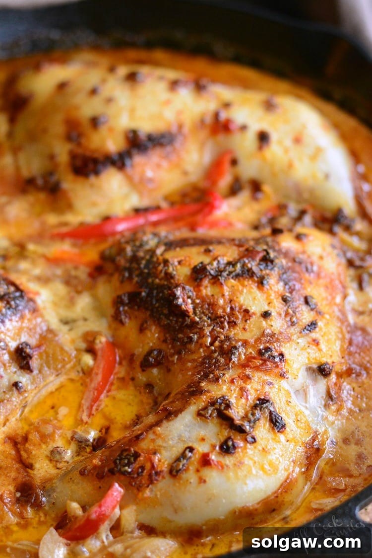 Chipotle Creamy Chicken Thighs