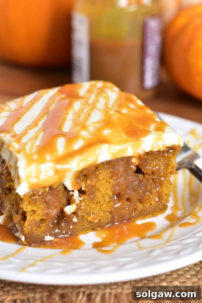 Pumpkin Cake with Salted Caramel and Cream Cheese Frosting. Soft, moist pumpkin cake soaked with salted caramel and topped with smooth cream cheese frosting. This pumpkin cake is paired beautifully with salted caramel flavors and creamy frosting in each bite. #cake #Pumpkin #pumpkincake #caramelcake #saltedcaramel