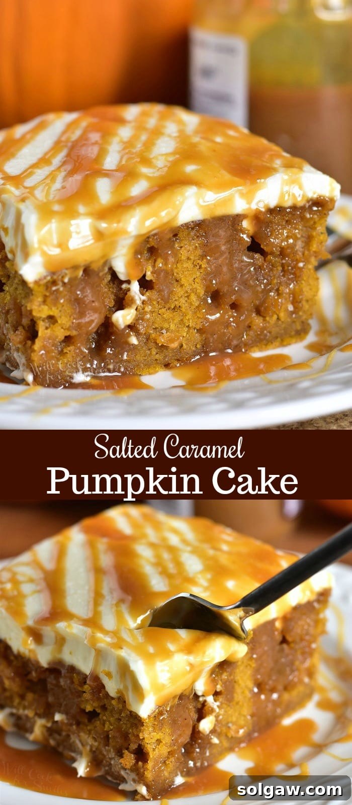 Salted Caramel Pumpkin Cake Recipe. Soft, moist pumpkin cake soaked with salted caramel and topped with smooth cream cheese frosting. This pumpkin cake is paired beautifully with salted caramel flavors and creamy frosting in each bite. #cake #Pumpkin #pumpkincake #caramelcake #saltedcaramel