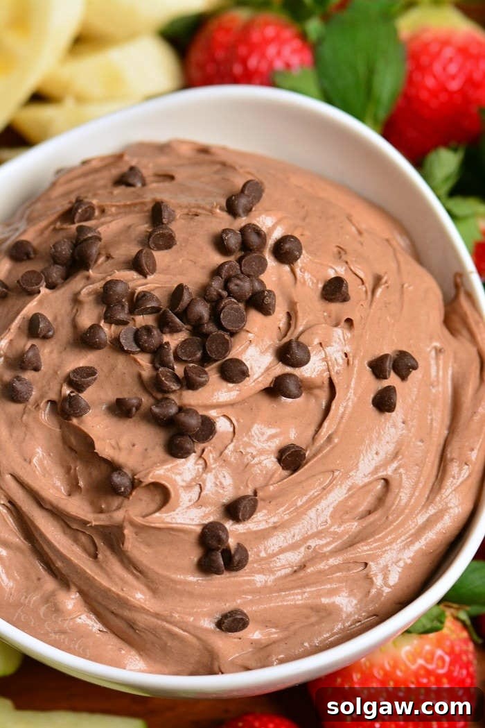 Above shot of chocolate cake fruit dip in a white bowl.