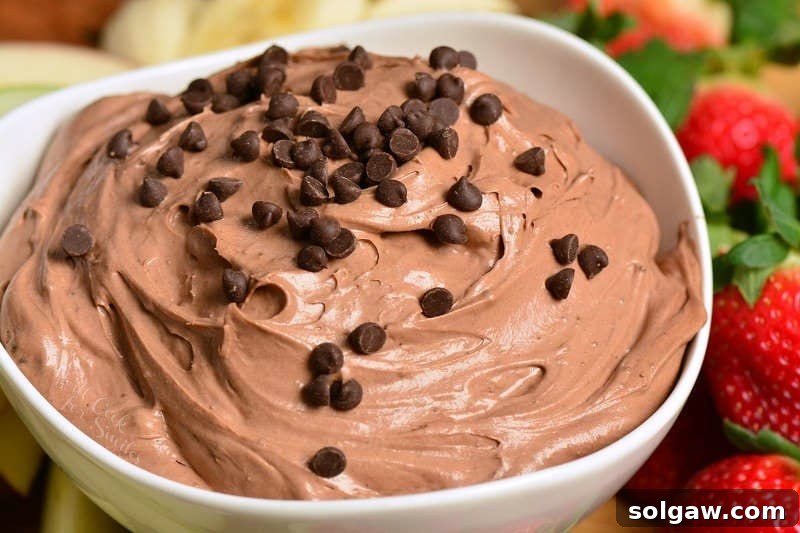 horizonal photo of chocolate cake fruit dip with chocolate chops on top.