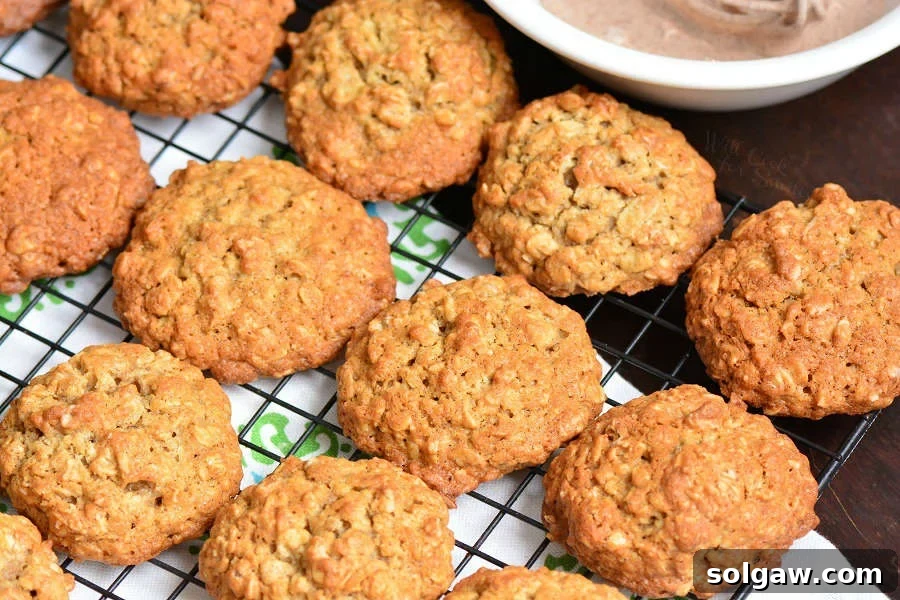 Chewy Cinnamon Oatmeal Cookies on a wire cooling rack.
