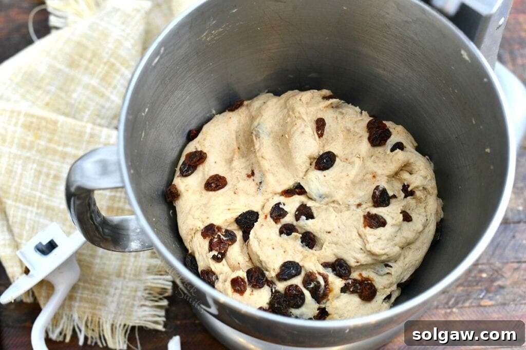 raisin bread dough in mixing bowl (before rising)