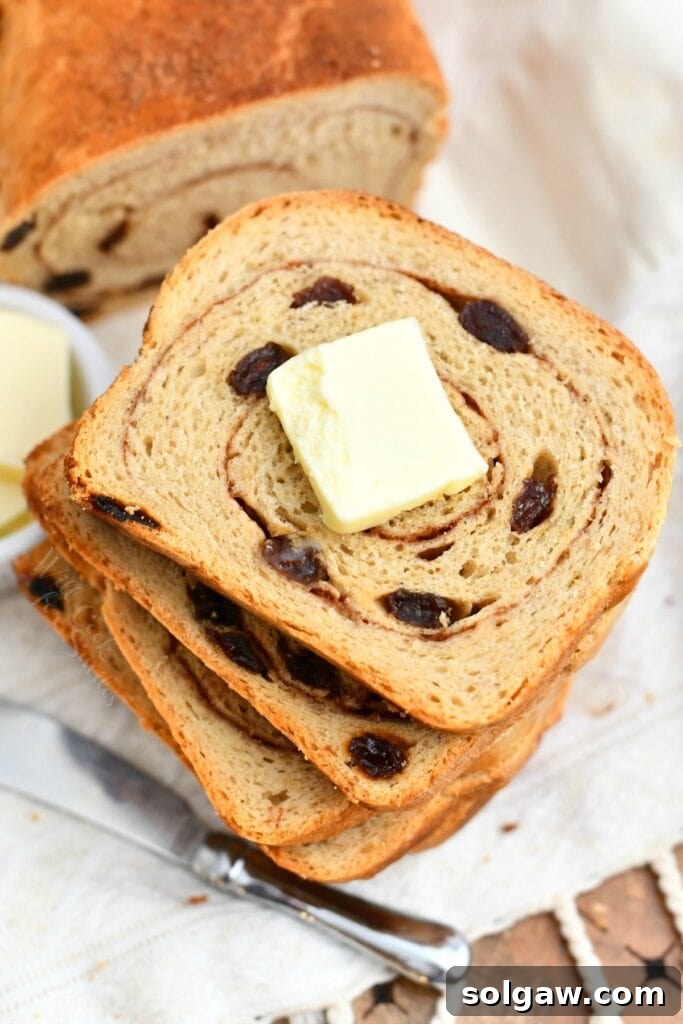 overhead photo: stacked slices of raisin bread - butter on top slice