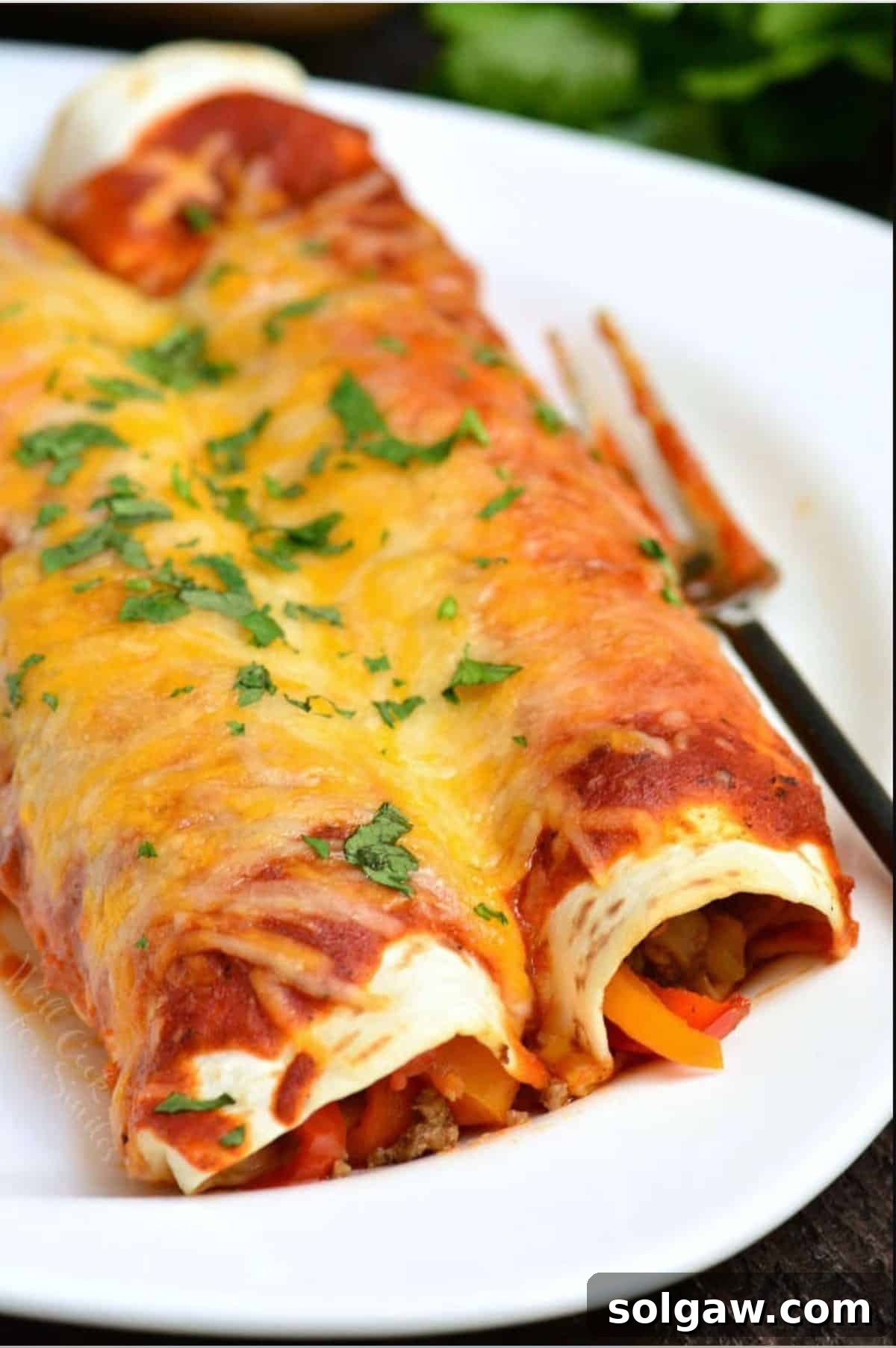 Two perfectly baked, cheesy beef enchiladas garnished with fresh cilantro, served on a pristine white plate with a fork, ready to be enjoyed as a satisfying Mexican meal.