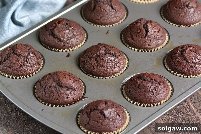 baked chocolate stout cupcakes in cupcake pan on wood table