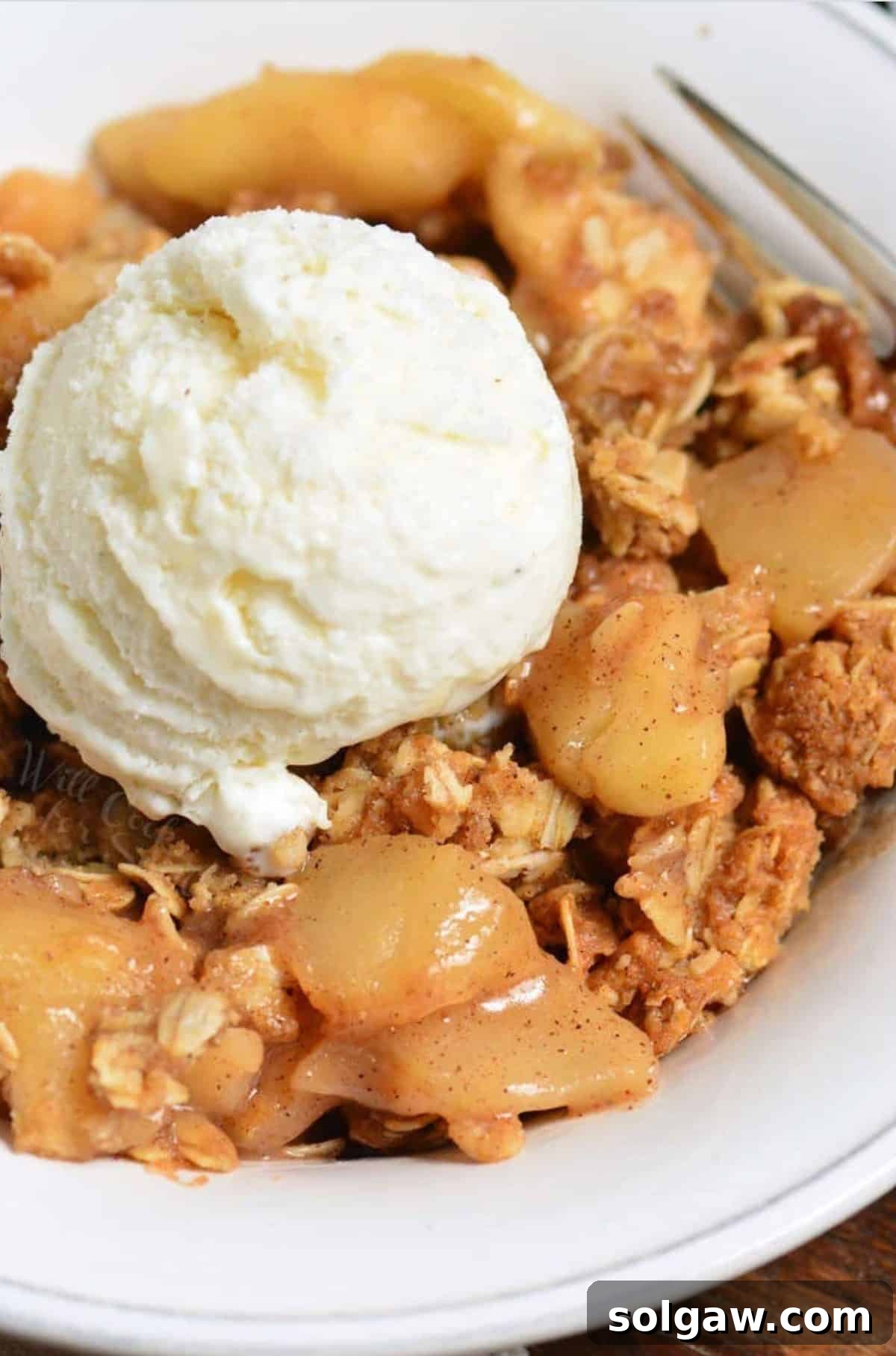 A bowl of apple crisp topped with a melting scoop of vanilla ice cream, garnished with a sprinkle of cinnamon.