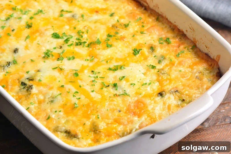 Golden Hash Brown, Broccoli, and Cheese Bake 6 baked breakfast casserole filled with hashbrowns, cheese, and broccoli.