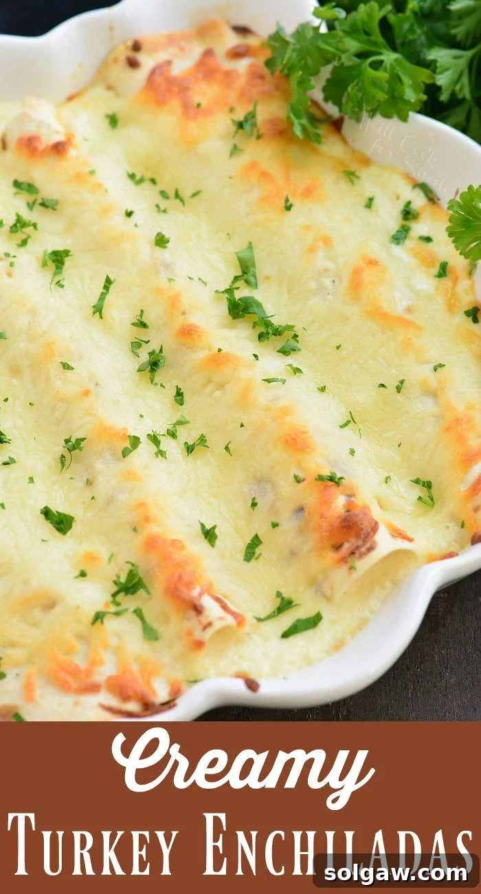 Delicious Creamy Turkey Enchiladas served on a plate