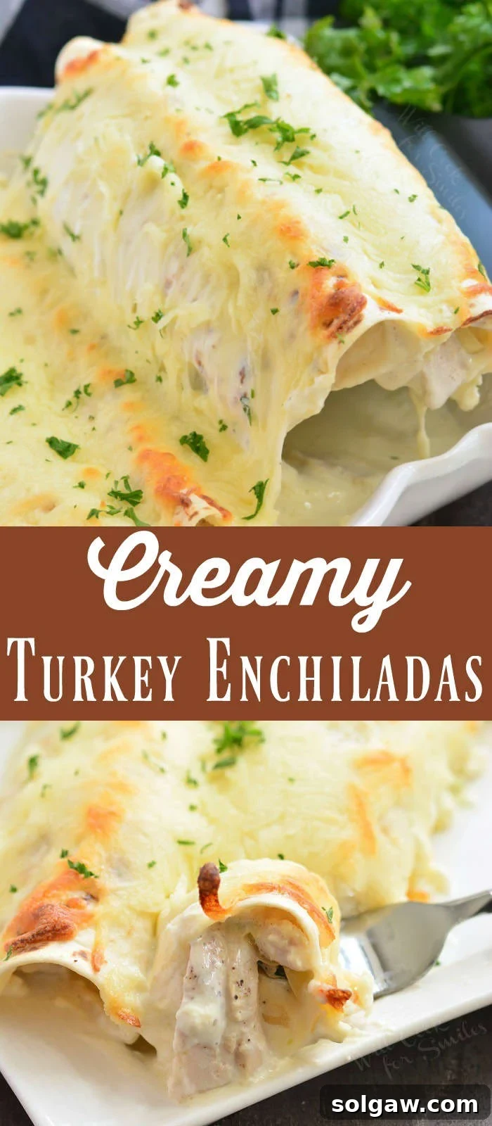 Turkey enchiladas collage with steps and finished dish