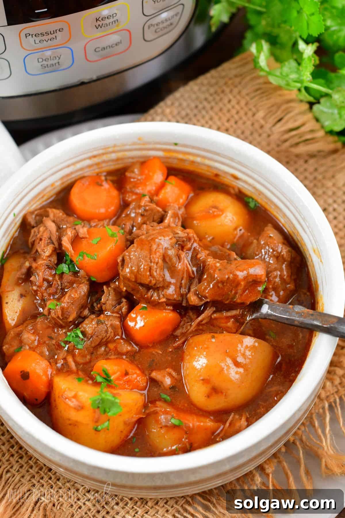 A steaming bowl of Instant Pot Beef Stew with tender beef, potatoes, and carrots, a fork scooping a portion.
