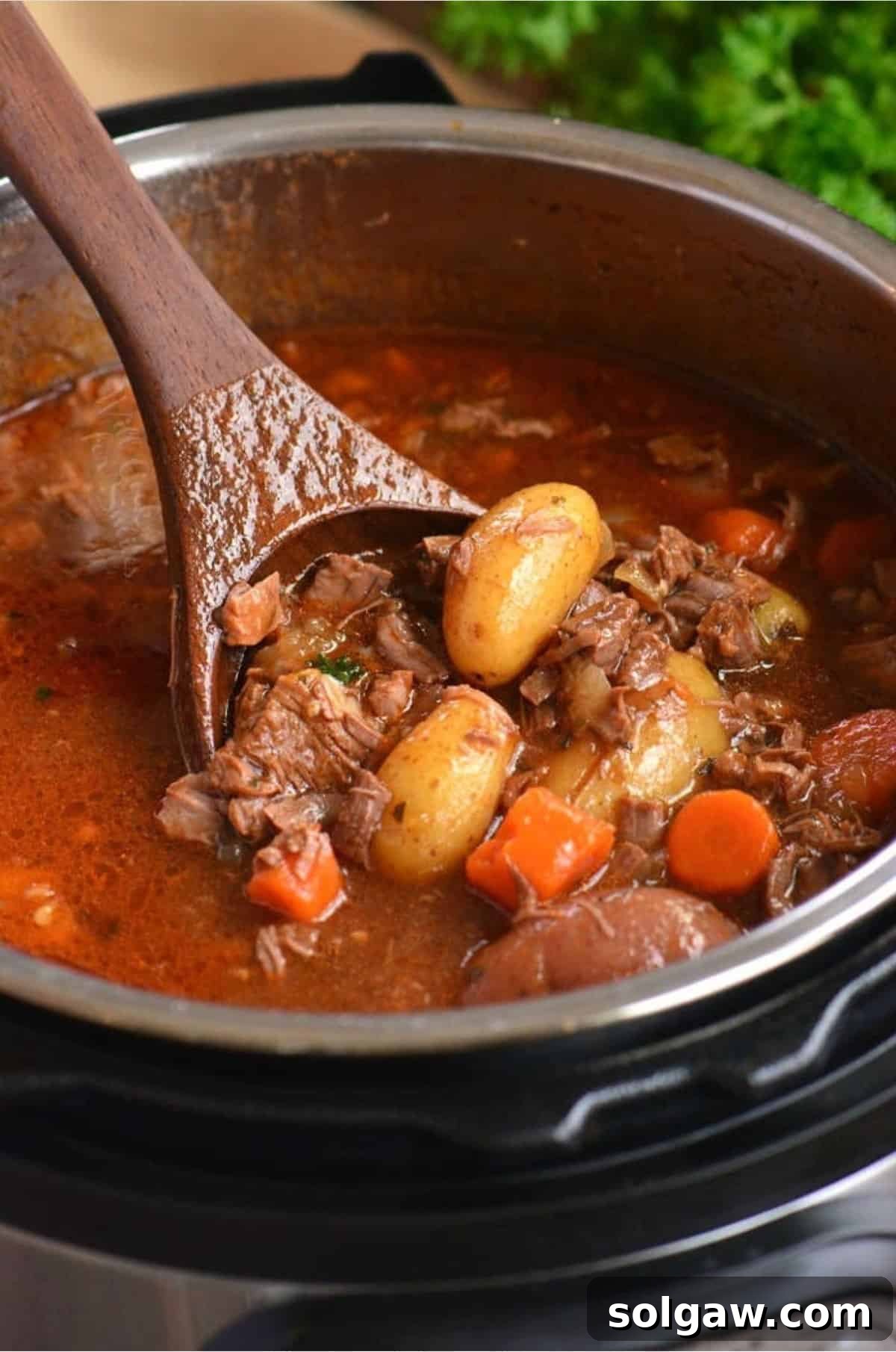 A wooden spoon scooping out tender beef and vegetables from a bowl of stew.