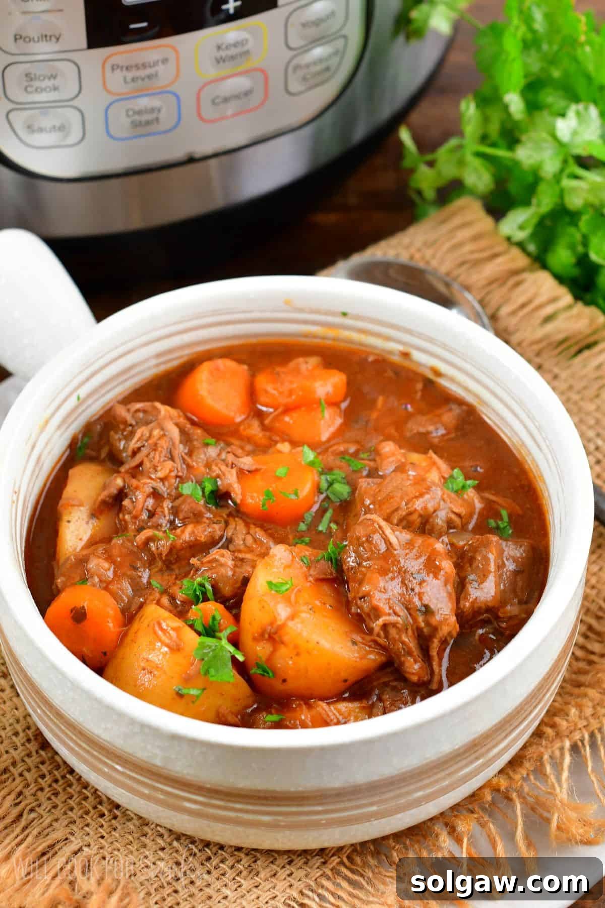 A beautifully presented bowl of Instant Pot Beef Stew, garnished and ready to serve.
