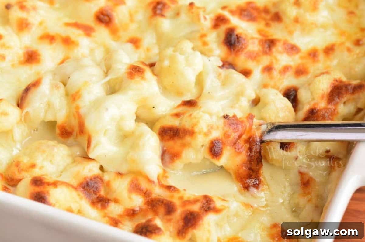 Creamy Cauli Mac 4 Scooping up cauliflower mac and cheese with a metal spoon.