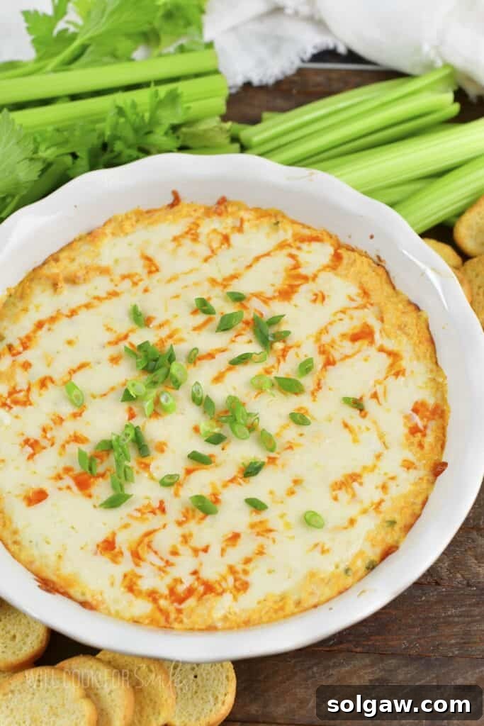 A close-up shot of hot Buffalo Chicken Dip surrounded by fresh celery sticks.