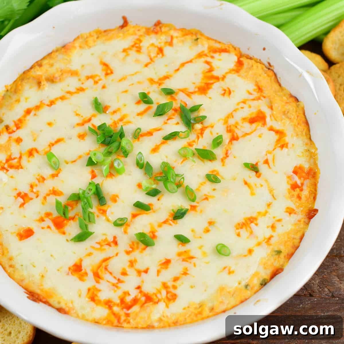 closeup of baked buffalo dip in the white dish.