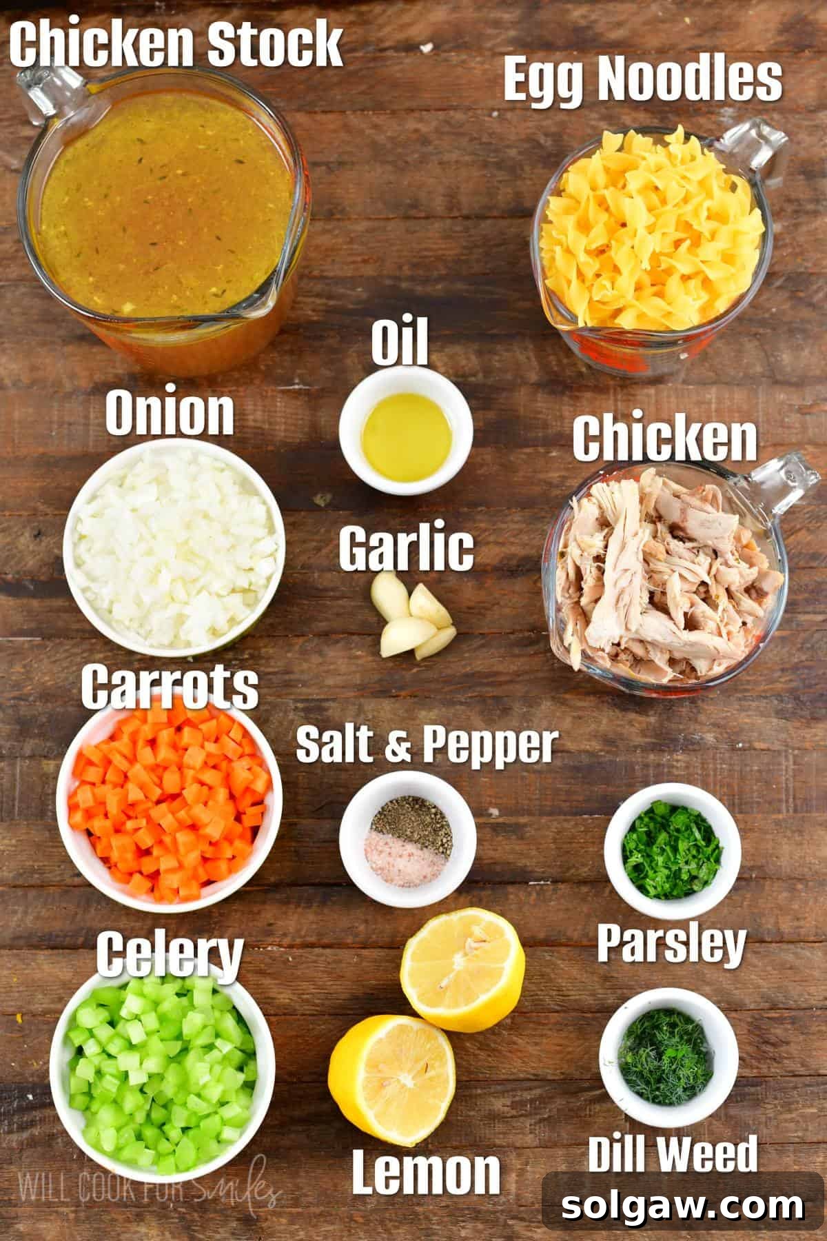 Labeled ingredients for chicken noodle soup on a wood surface.