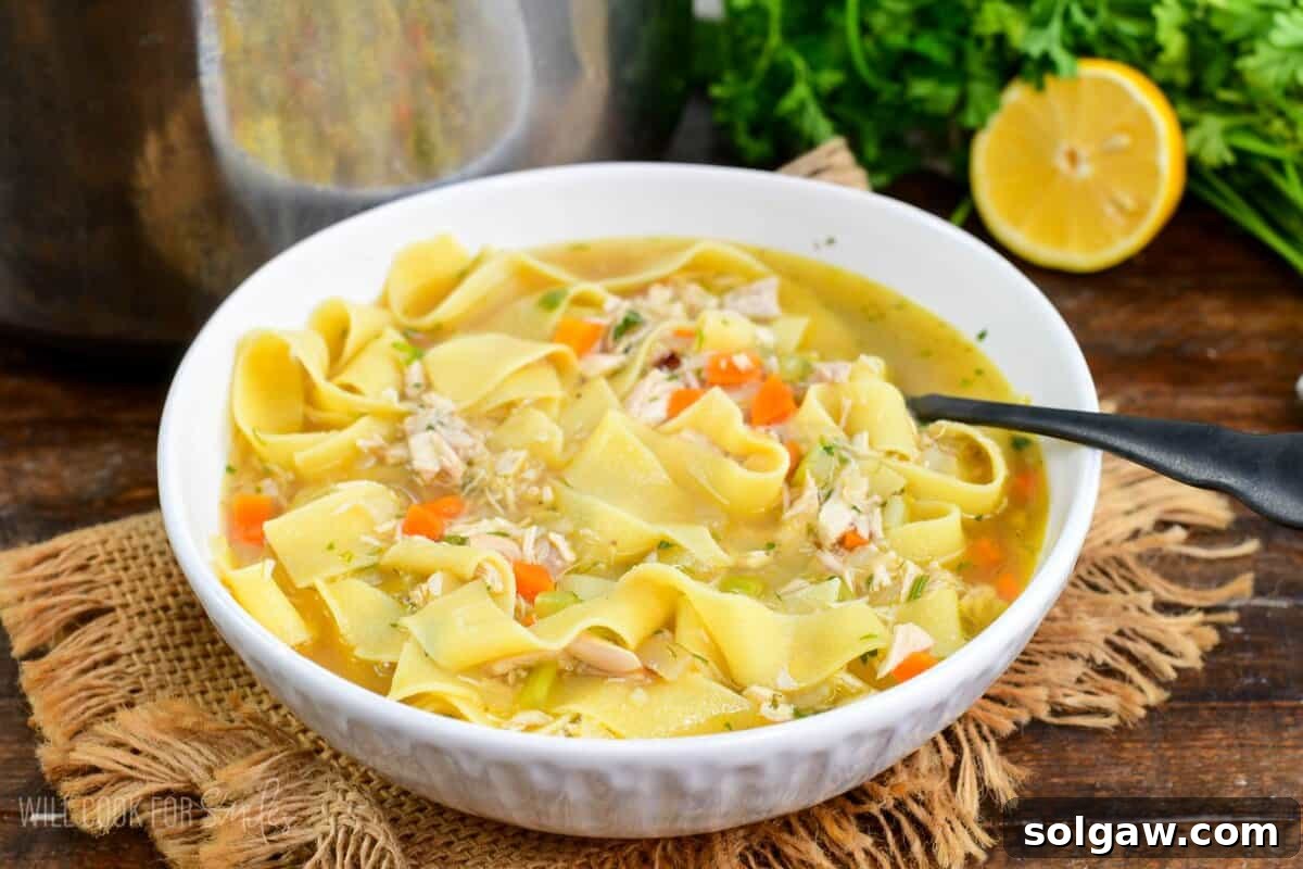 Bowl of homemade chicken noodle soup with carrots, celery, and tender noodles with a spoon.