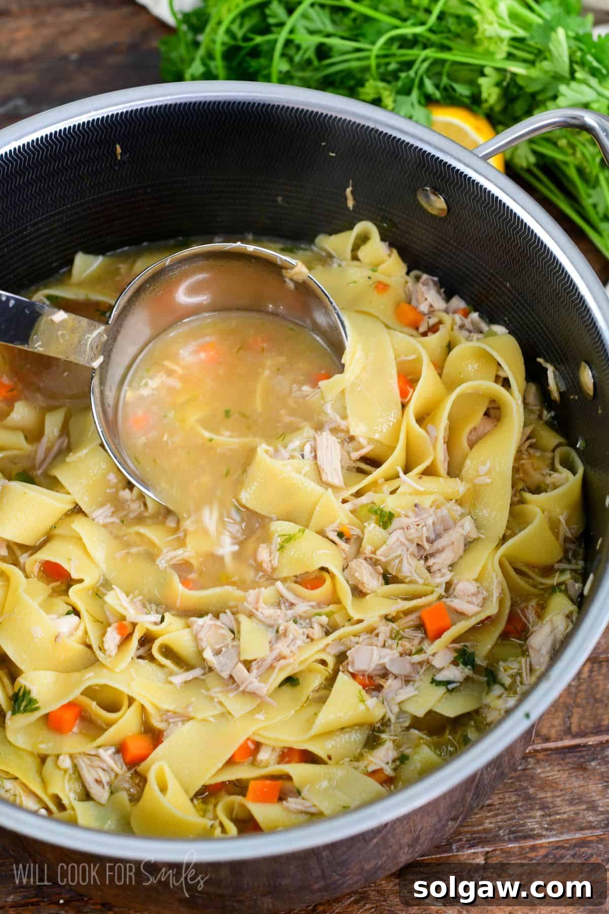 Classic chicken noodle soup in a pot made from scratch with vegetables and egg noodles.