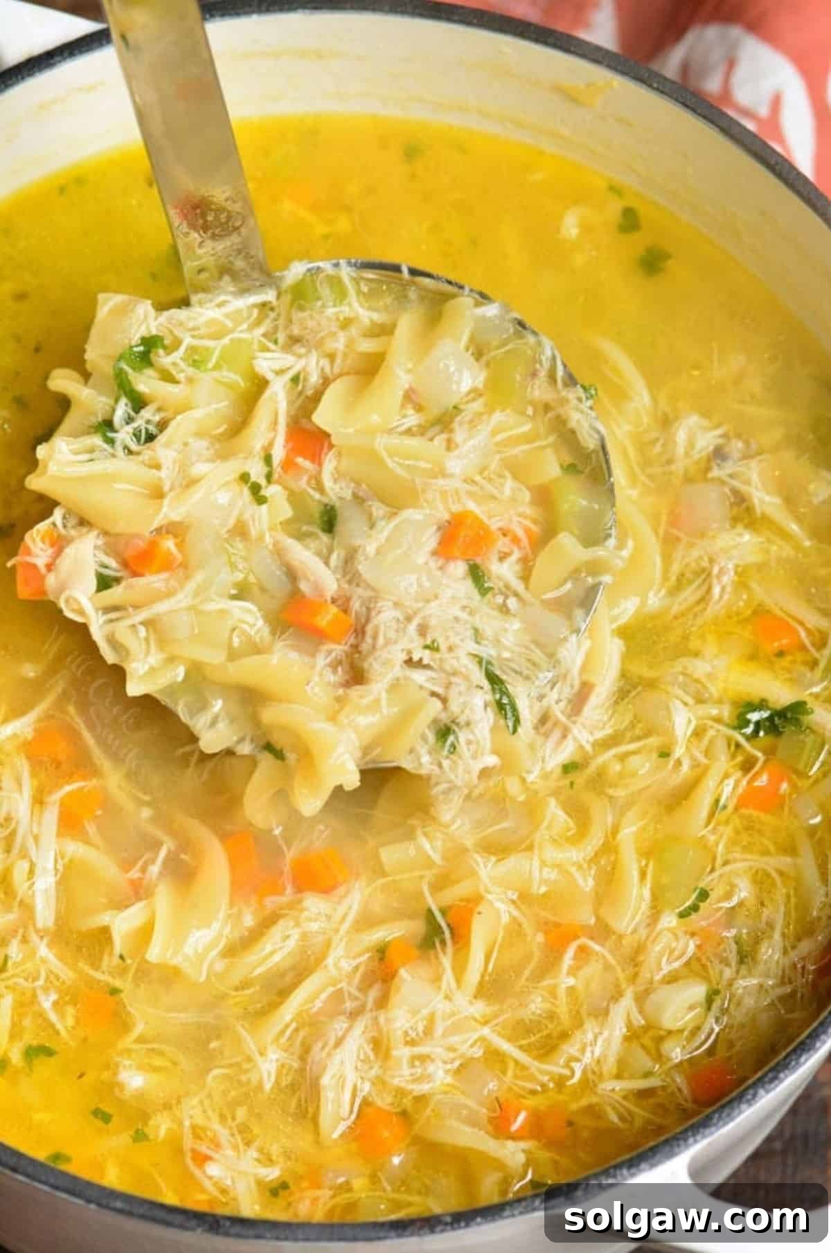 Chicken noodle soup in a stock pot with a ladle scooping some out,