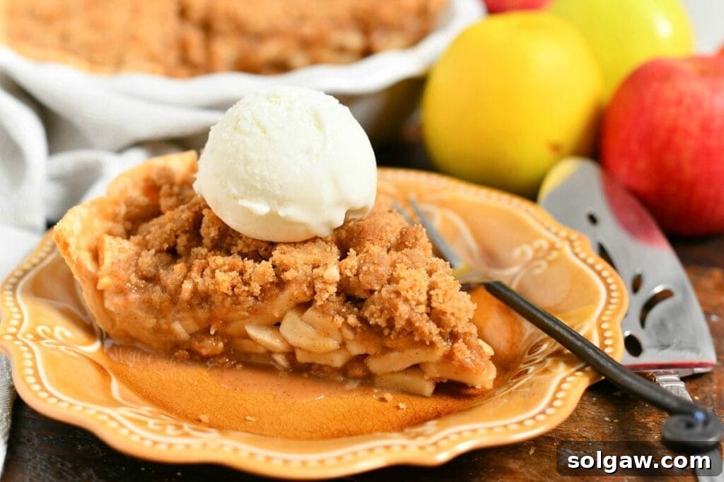 Slice of homemade Dutch apple pie topped with scoop of vanilla ice cream, showing golden streusel