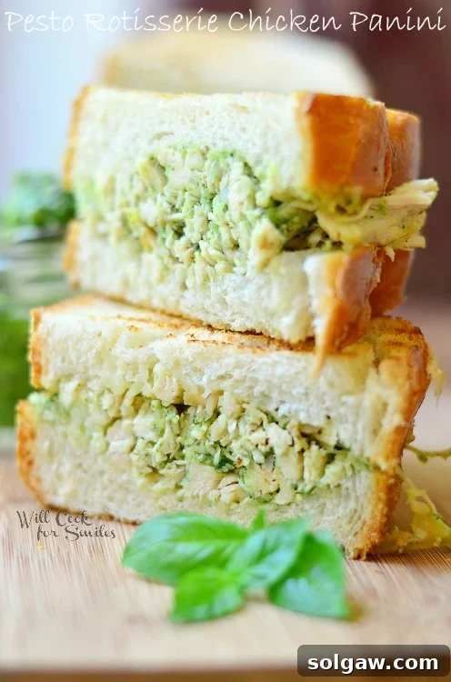 Pesto Rotisserie Chicken Panini with fresh basil leaves