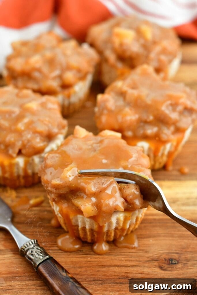 Spiced Apple Cheesecake Bites 3 fork cutting into mini cheesecake topped with apple pie filling