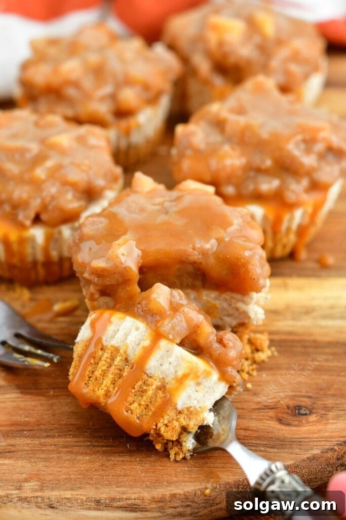 Spiced Apple Cheesecake Bites 8 bite of apple mini cheesecake on a fork with individual cheesecakes behind it
