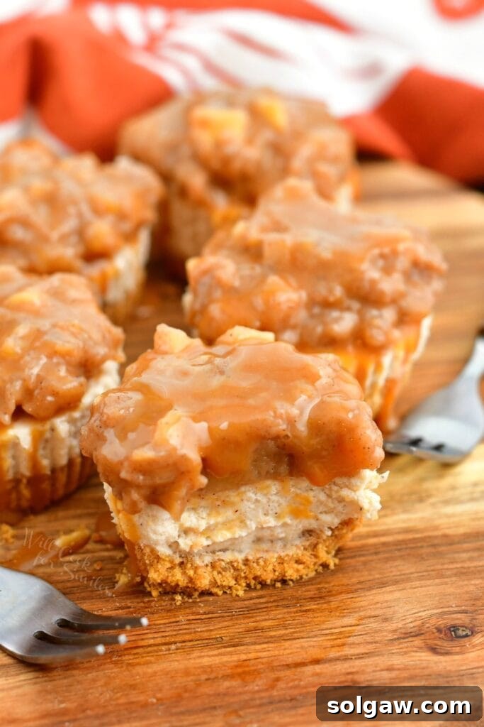 Spiced Apple Cheesecake Bites 9 individual cheesecakes topped with caramel, one with a bite taken from it