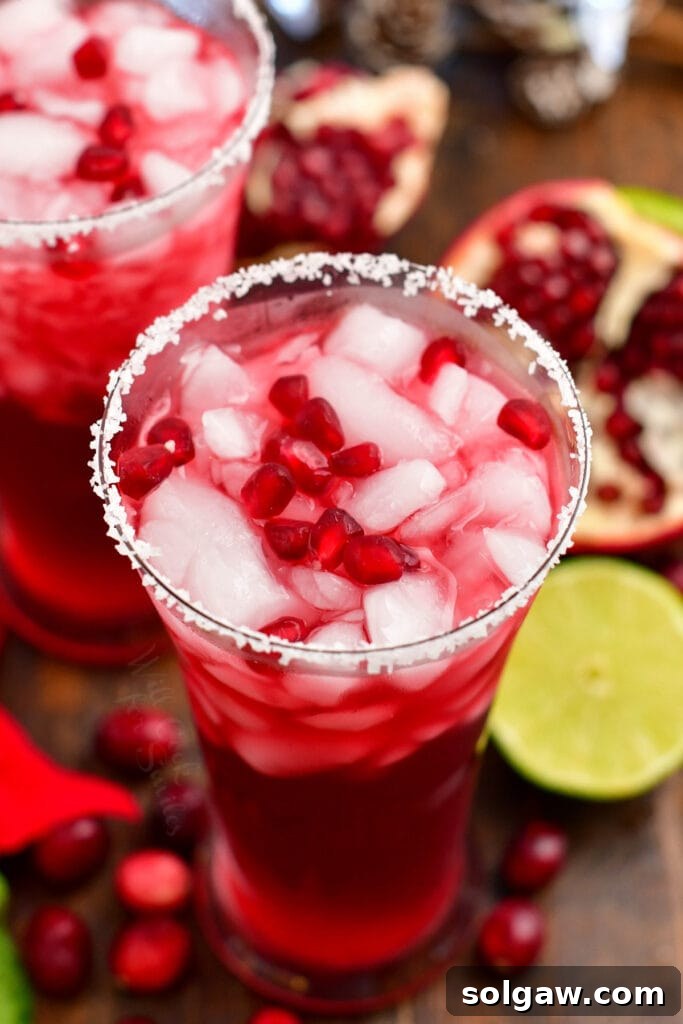 view from the top of the cocktail in the glass garnished with pomegranate seeds