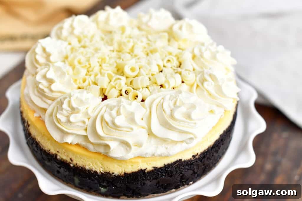 A stunning full view of the decorated white chocolate raspberry cheesecake on a white cake stand, highlighting its elegant frosting, raspberry topping, and white chocolate curls.