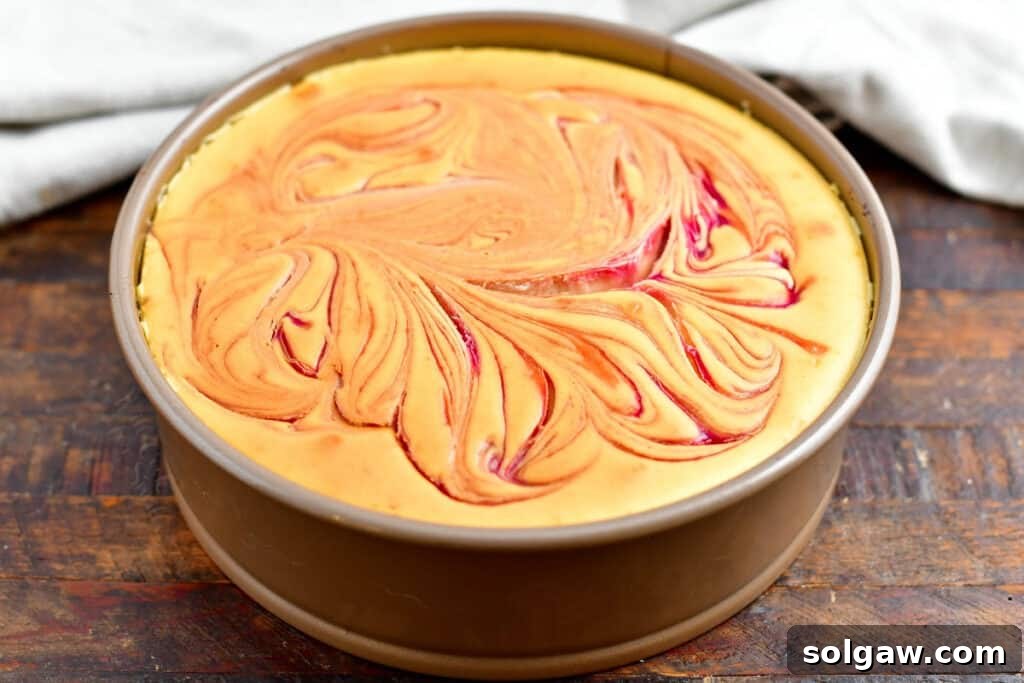 A freshly baked white chocolate raspberry cheesecake, showcasing its golden-brown edges and beautifully swirled top, cooling in a springform pan on a wooden surface.