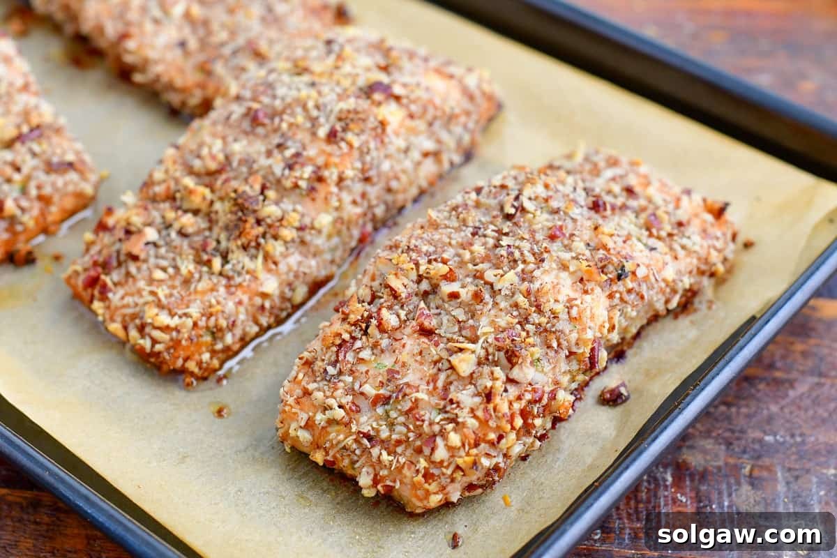 Freshly baked pecan crusted salmon fillets with a golden, crispy crust are displayed on the baking sheet, glistening and ready to serve.